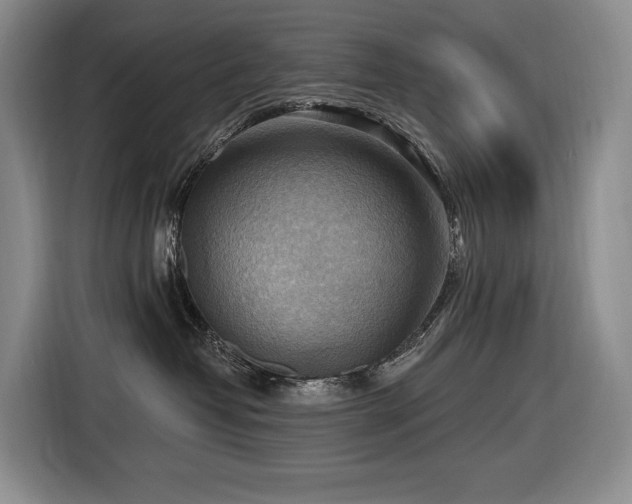X0000116650382200912141300