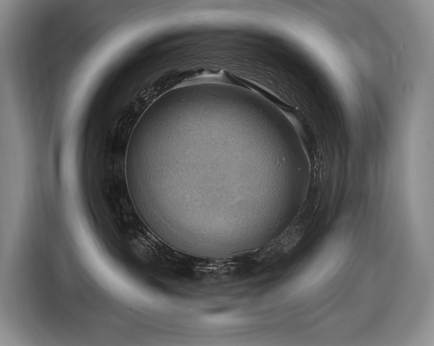 X0000116650383200912141300