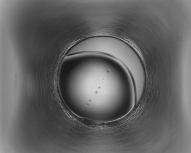 X0000116650385200912141300