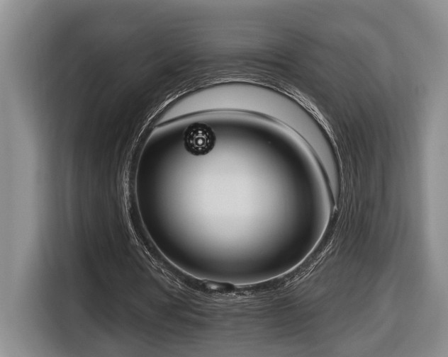 X0000116650386200912141300