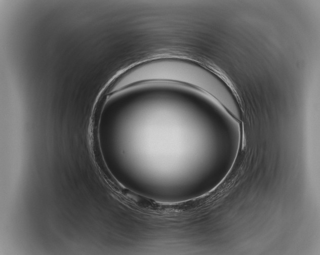 X0000116650387200912141300