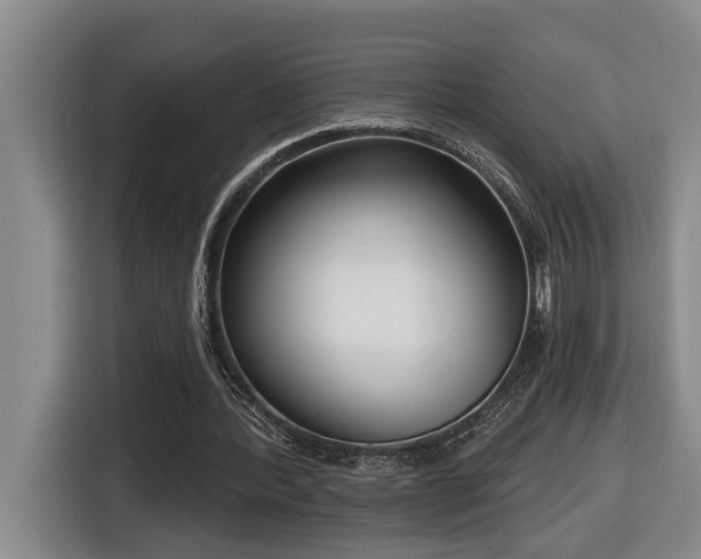 X0000116650388200912141300