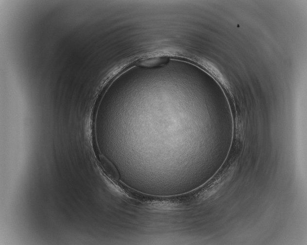 X0000116650389200912141259