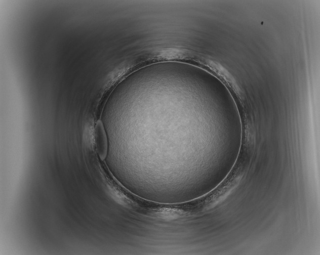 X0000116650393200912141259