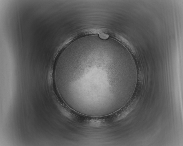 X0000116650394200912141259
