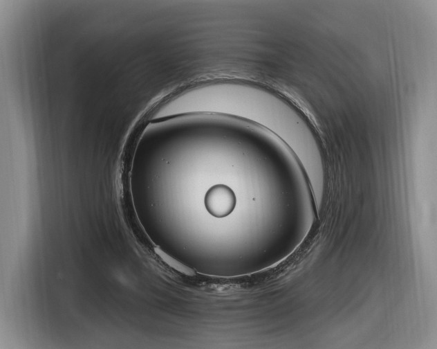 X0000116650395200912141259