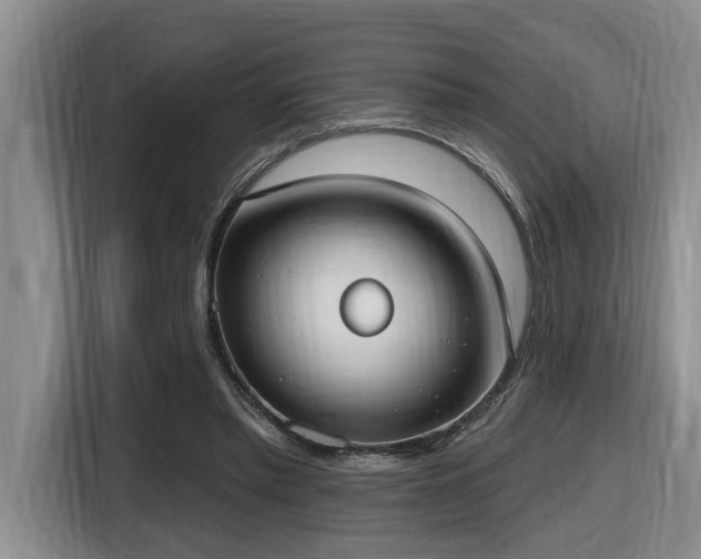 X0000116650397200912141259