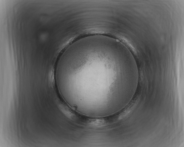 X0000116650398200912141259