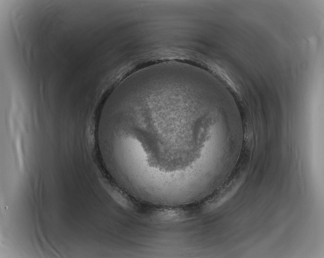 X0000116650402200912141259