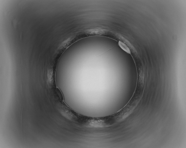 X0000116650403200912141259