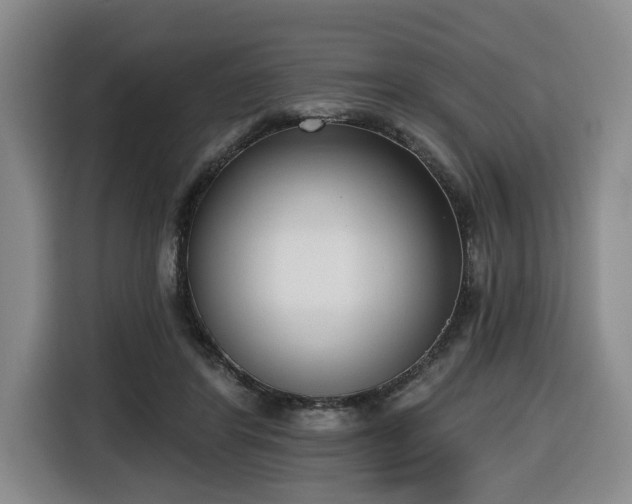 X0000116650404200912141259