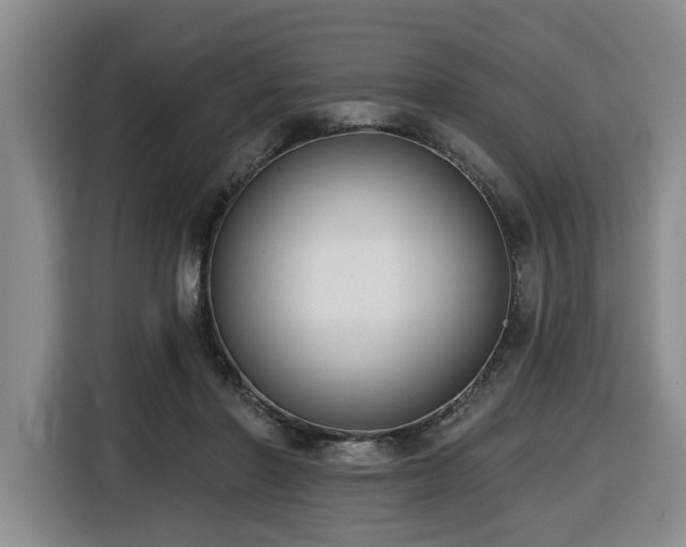 X0000116650406200912141259