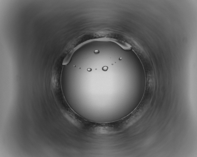 X0000116650408200912141259