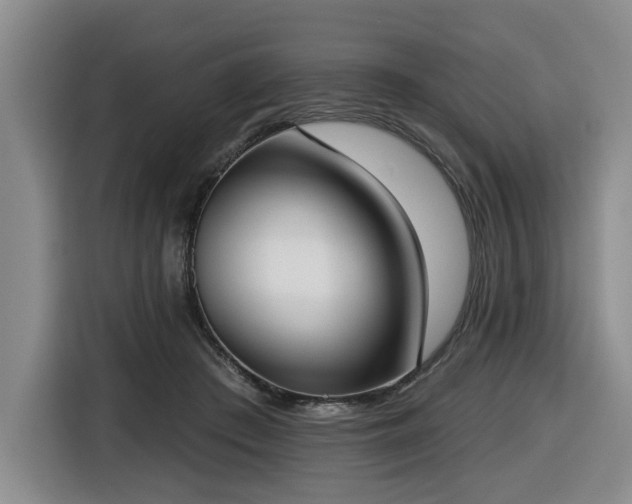 X0000116650409200912141259
