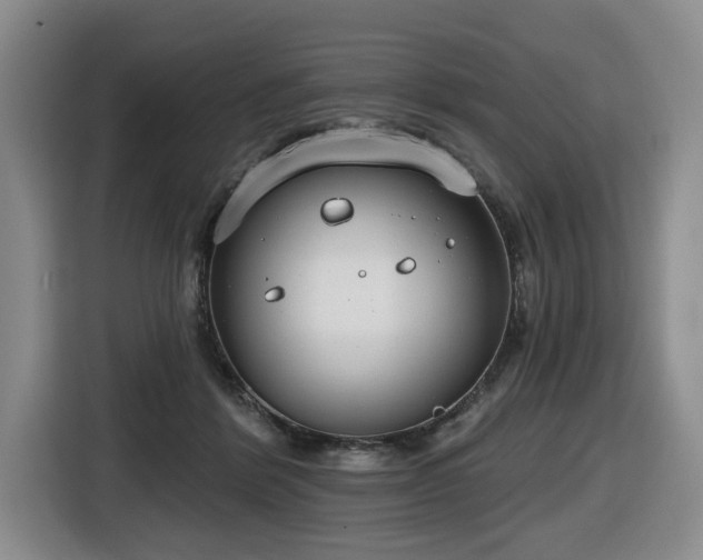 X0000116650412200912141259