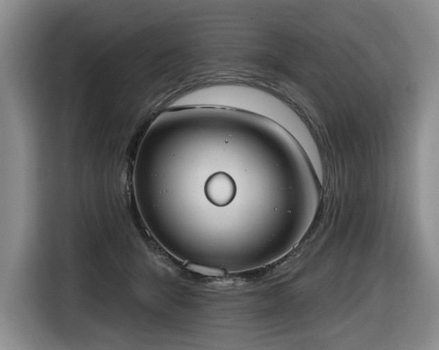X0000116650415200912141259