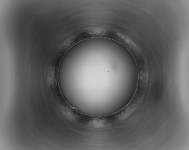 X0000116650416200912141259