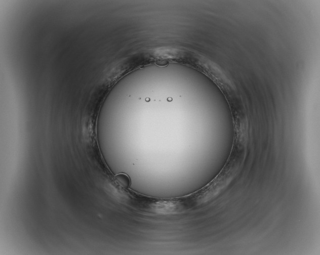 X0000116650418200912141259