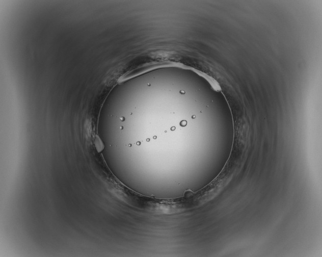 X0000116650420200912141259