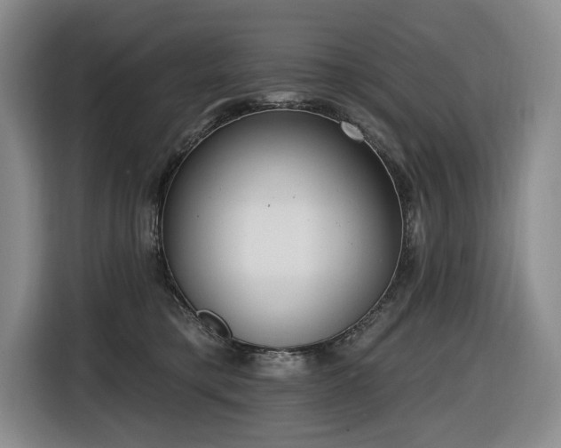 X0000116650421200912141259