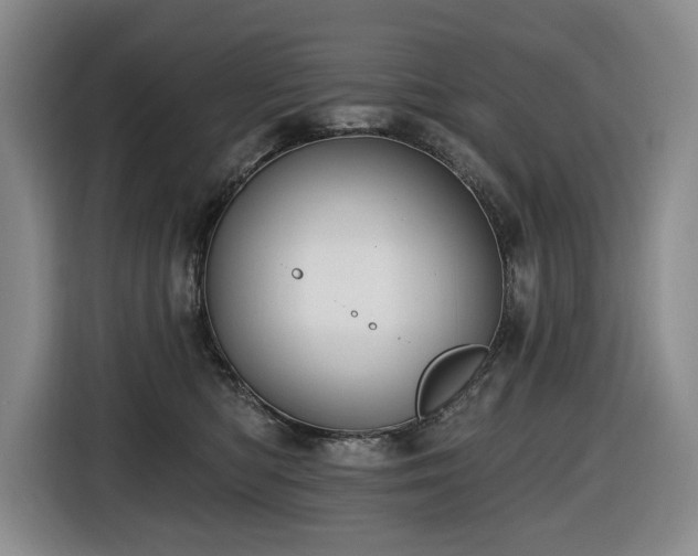 X0000116650422200912141259