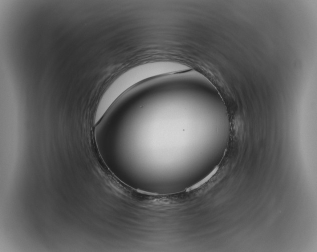 X0000116650423200912141259