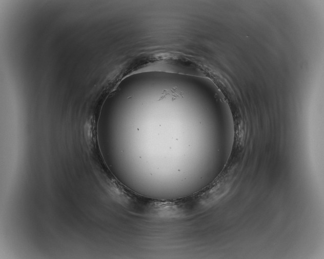 X0000116650424200912141259