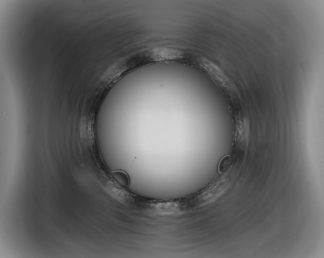 X0000116650426200912141259