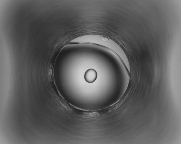 X0000116650427200912141259