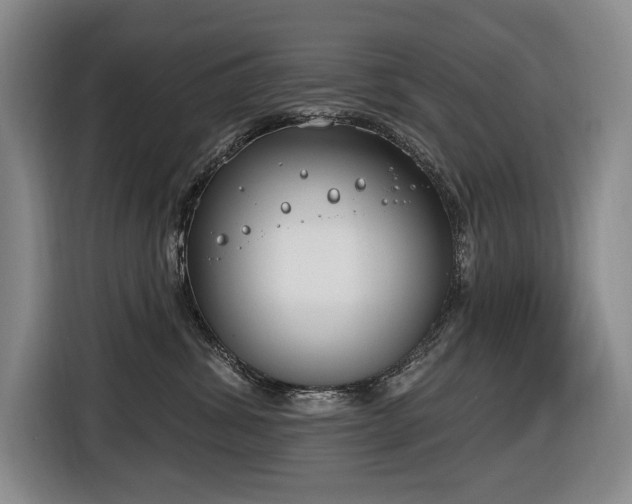 X0000116650428200912141259