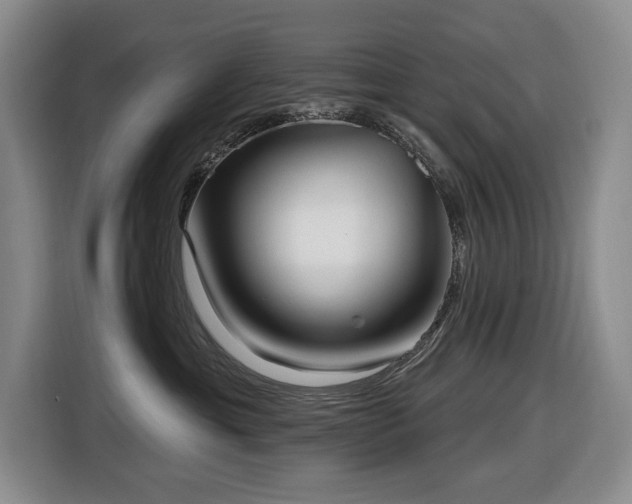 X0000116650429200912141259
