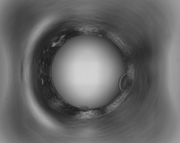 X0000116650430200912141259