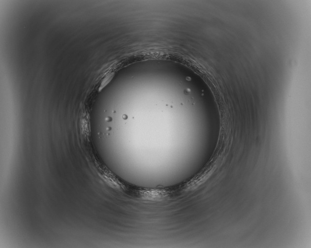 X0000116650432200912141259