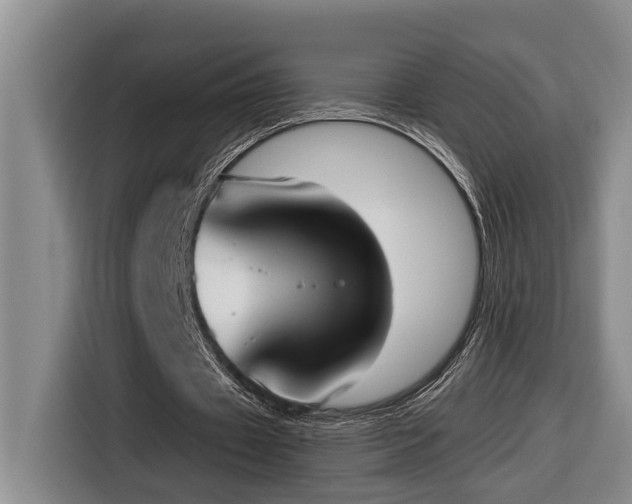 X0000116650433200912141258