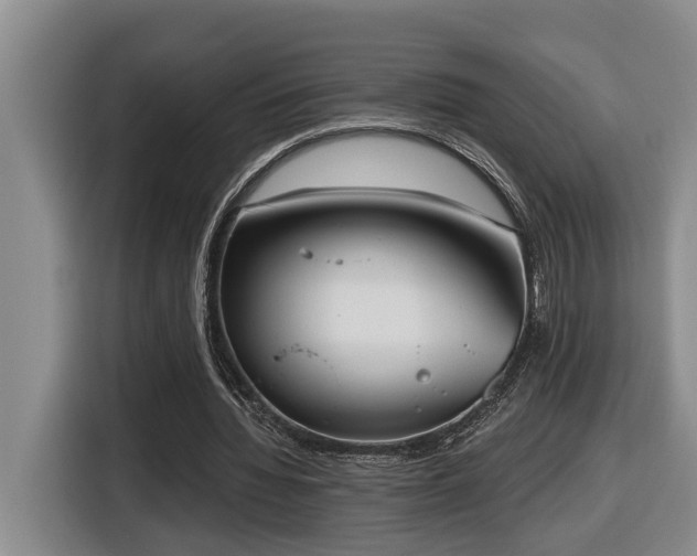 X0000116650436200912141258