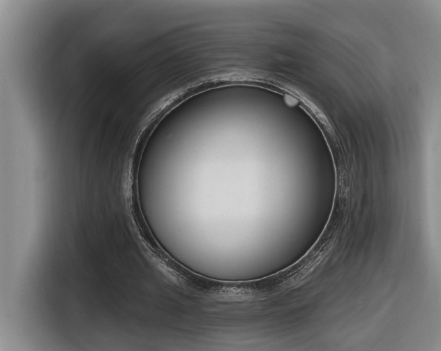 X0000116650437200912141258