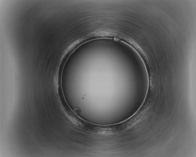 X0000116650438200912141258