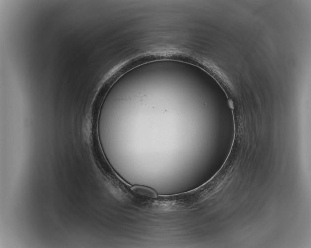 X0000116650440200912141258