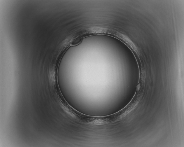 X0000116650441200912141258