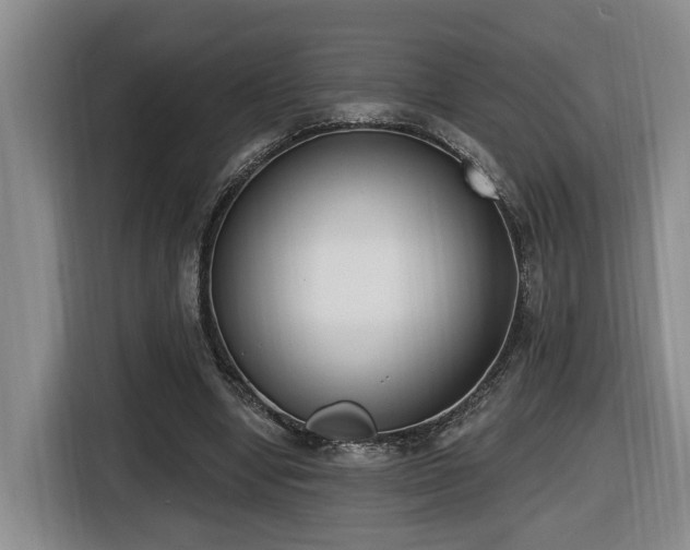X0000116650442200912141258