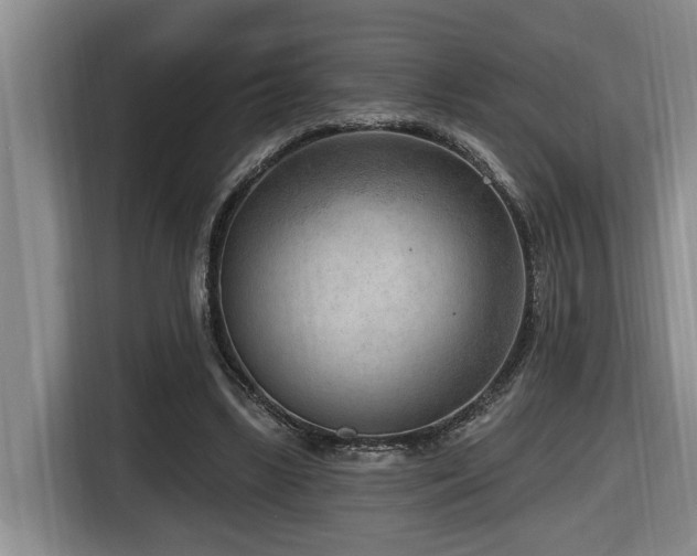X0000116650443200912141258