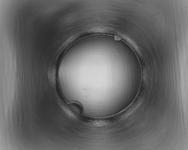 X0000116650445200912141258