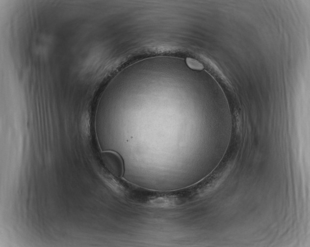 X0000116650447200912141258