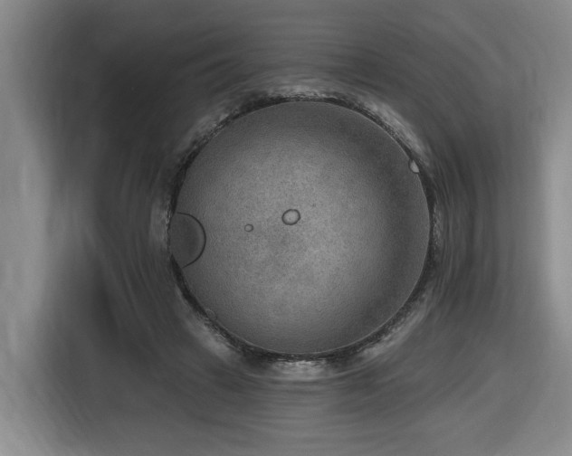 X0000116650449200912141259