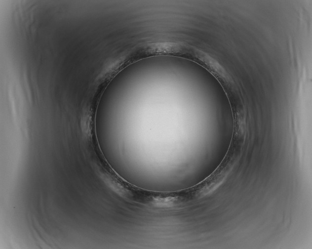 X0000116650450200912141259