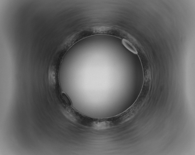 X0000116650452200912141259