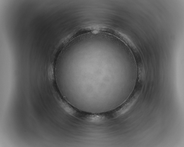 X0000116650453200912141259
