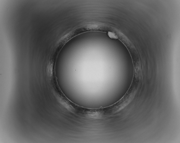 X0000116650454200912141259