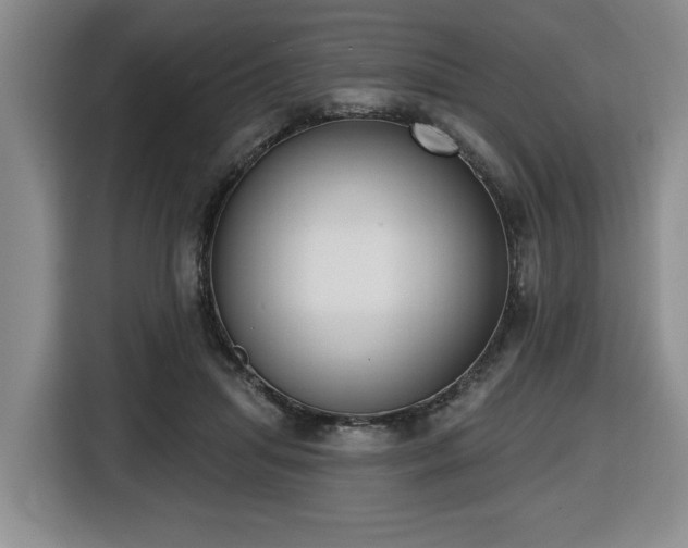 X0000116650455200912141259