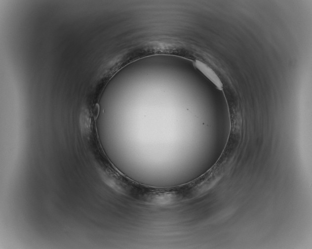 X0000116650456200912141259